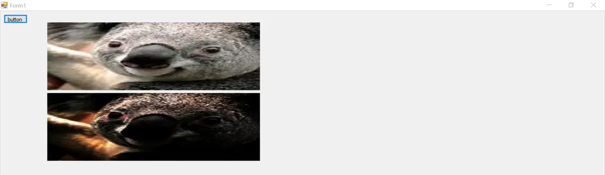 이미지 - 코알라 원본 및 편집 이미지