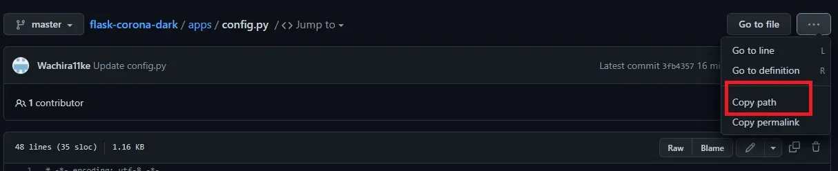 Kopieren Sie den Speicherort der Datei in Ihrem GitHub
