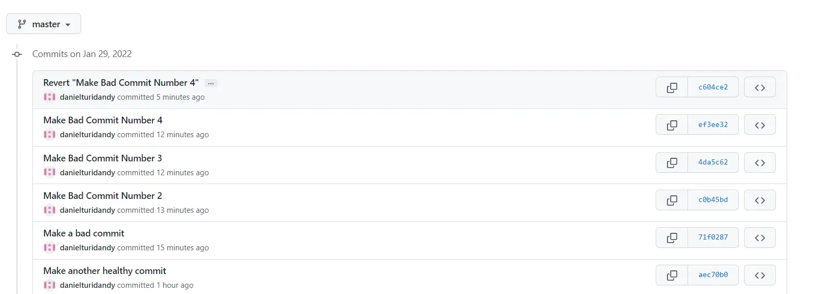 Das neue Revert Commit im Remote Repo