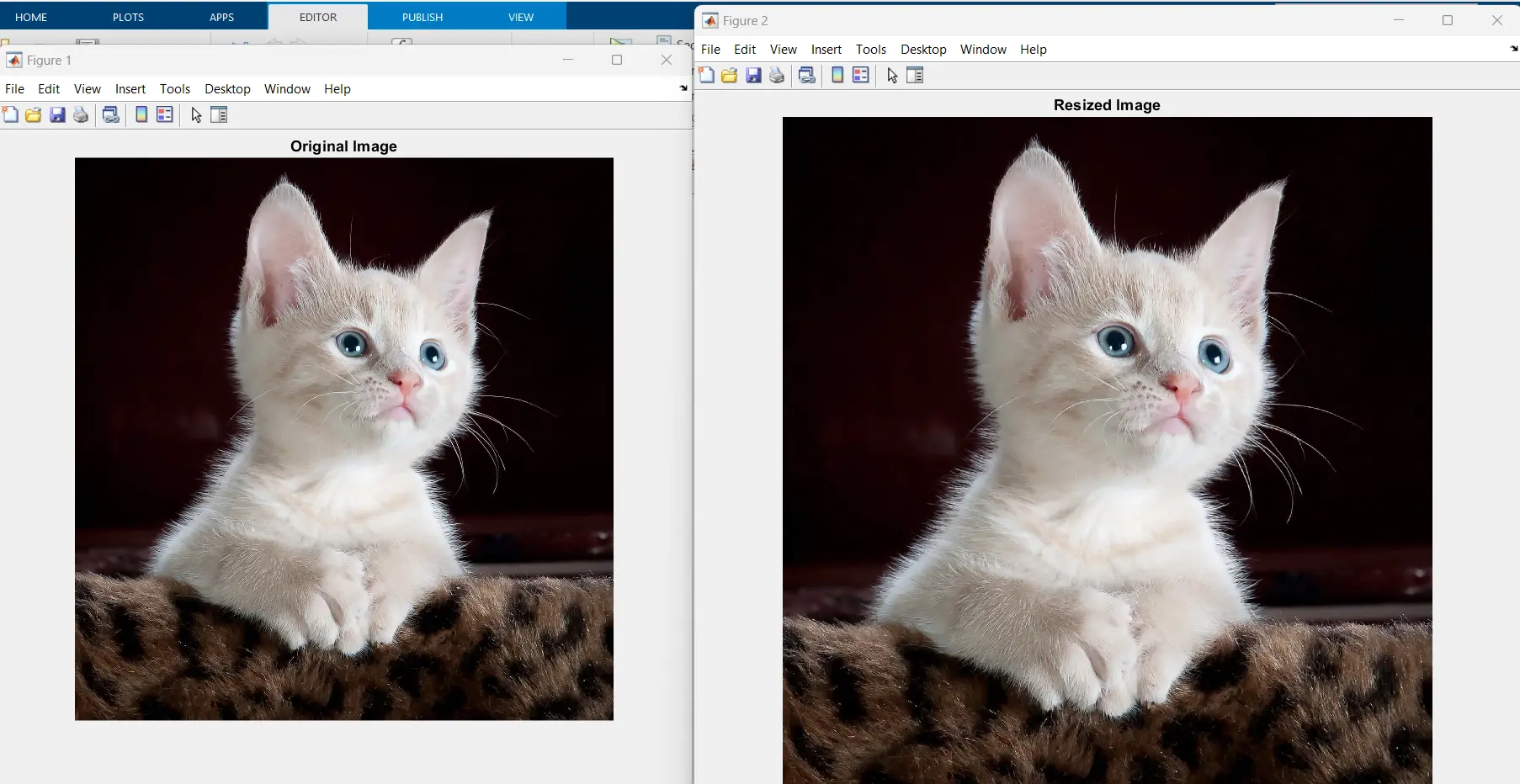 Uniform Resizing Output