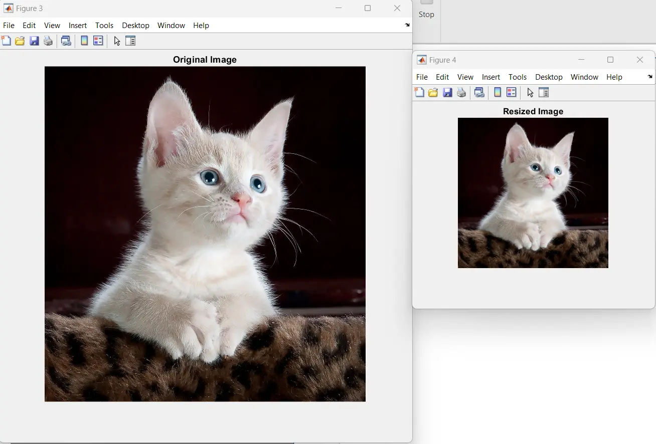 Resizing to Specific Dimensions Output