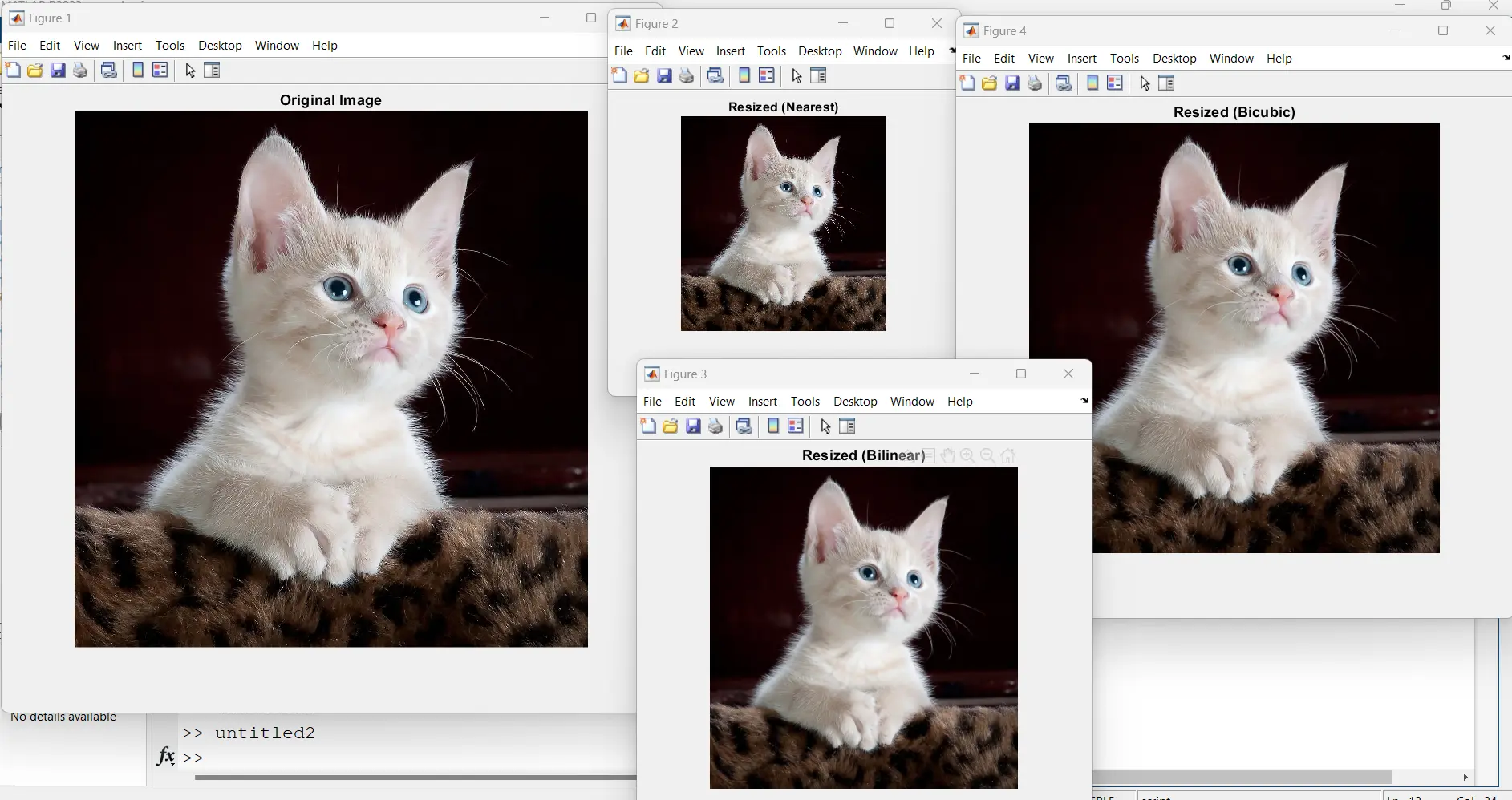 Resizing with Interpolation Methods Output