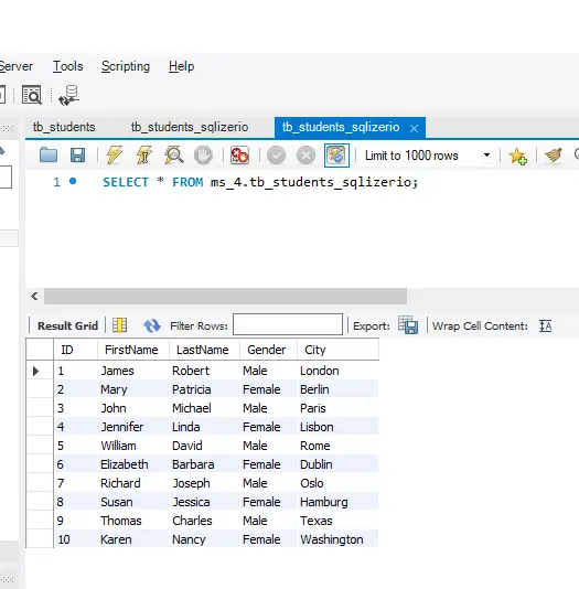 Las 3 formas más fáciles de importar un archivo de Excel a la base de datos mysql - sqlizerio consulta los datos
