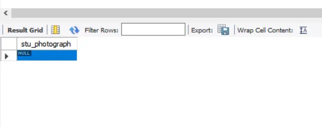 在 mysql 中存储图像