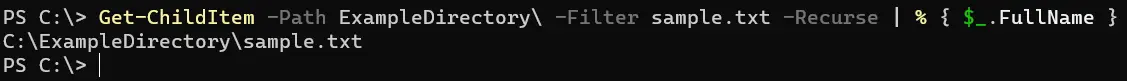 在 PowerShell 中获取文件的完整路径 - 输出 2