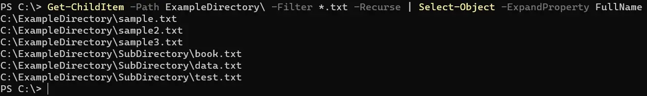 在 PowerShell 中获取文件的完整路径 - 输出 4