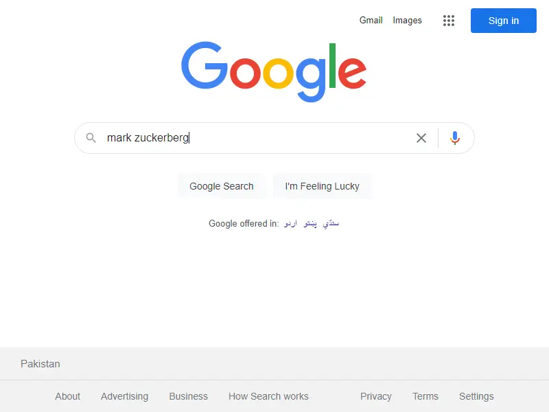 Python Selenium Headless Open Chrome Browser im Headless-Modus – Screenshot zwei