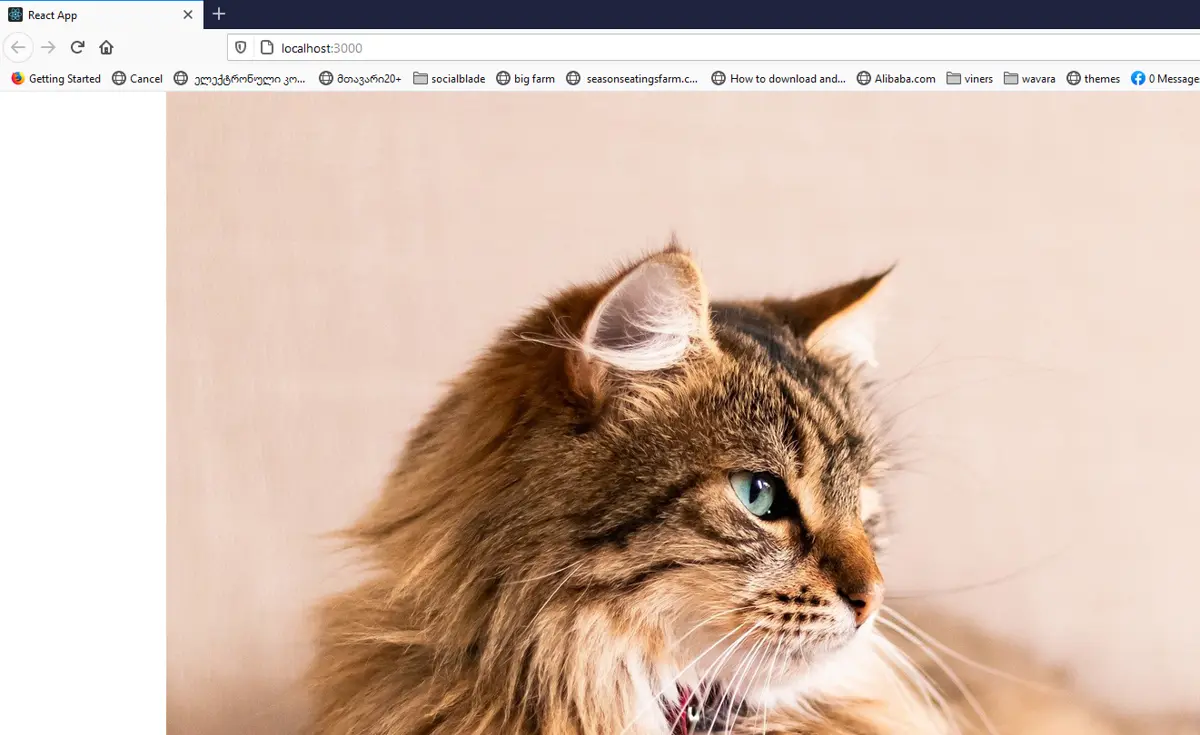 react img src