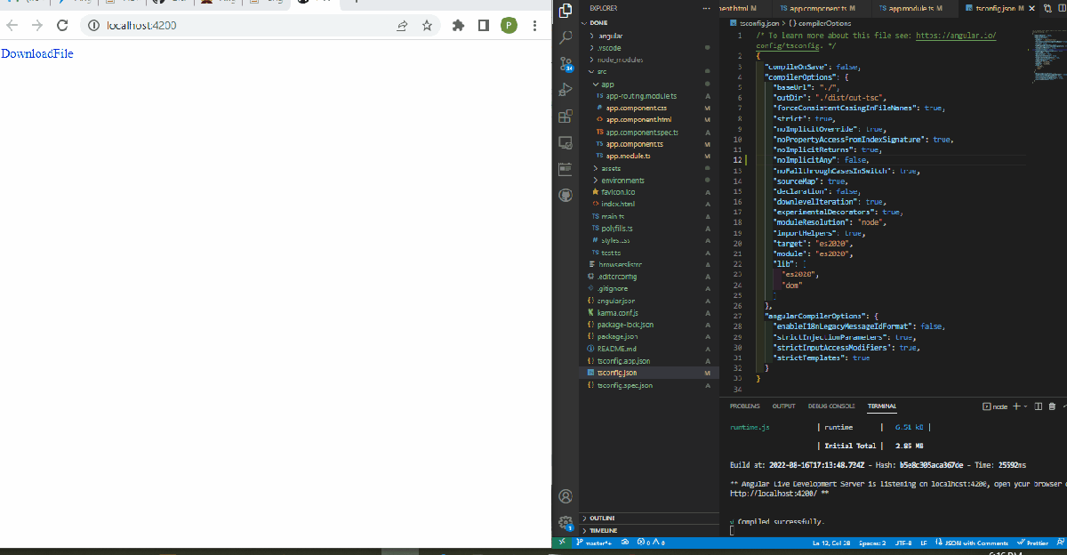 Serve a File for Download in Angular