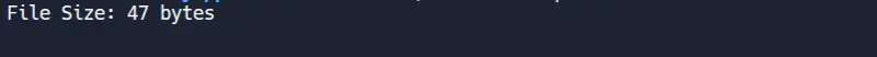 Get File Size in C Using the stat Function - Output 2