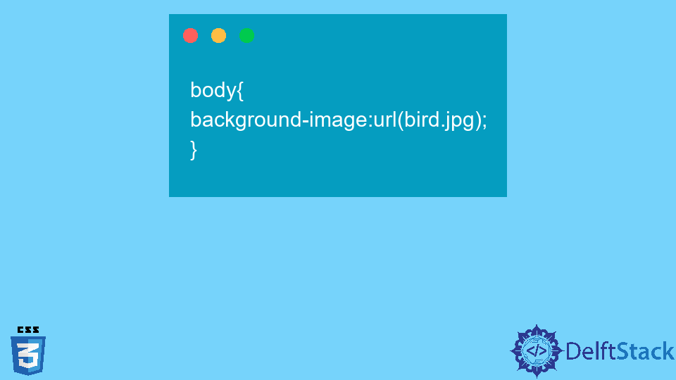 Add Background Image in CSS | Delft Stack
