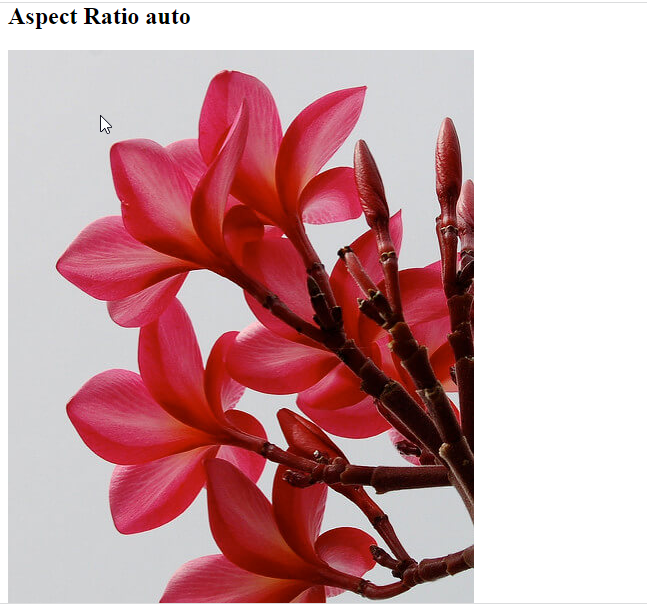 Resize an Image While Keeping the Aspect Ratio Using CSS