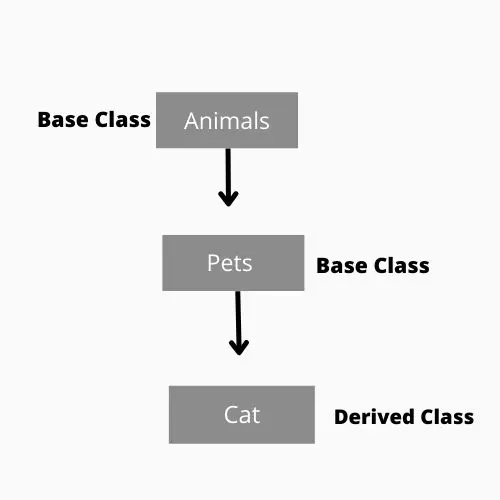 Multi-level inheritance