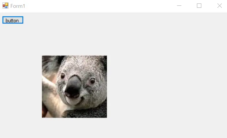 Bild - Zugeschnittenes Bild von Koala