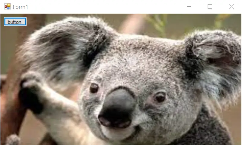 Bild - Auf dem Bildschirm gezeichneter Koala