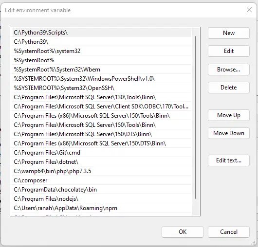 Edit Environment Variables