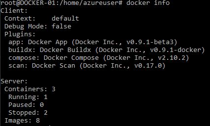 Check if the Docker Container Is Running or Not