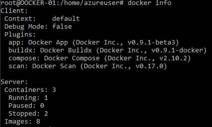 Docker 컨테이너가 실행 중인지 확인