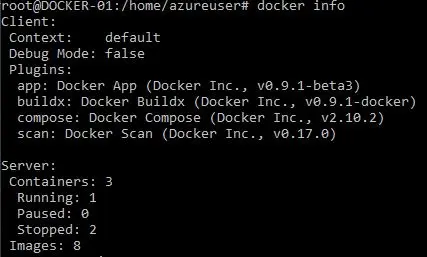 Comprobar si el contenedor Docker se está ejecutando o no