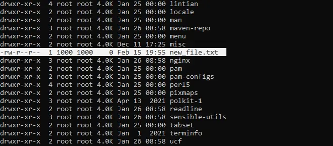 viewing a file copied into the docker container from the host