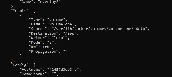 Inspecting a mounted volume in a docker container