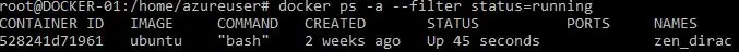 running docker ps a with filter