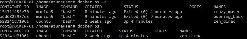 running docker ps a