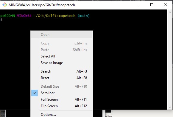 Copy and Paste in Git Bash | Delft Stack