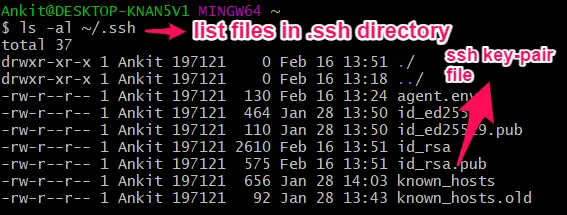 ssh キーを確認してください