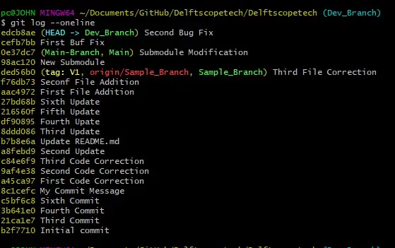 Commit History in Dev_Branch