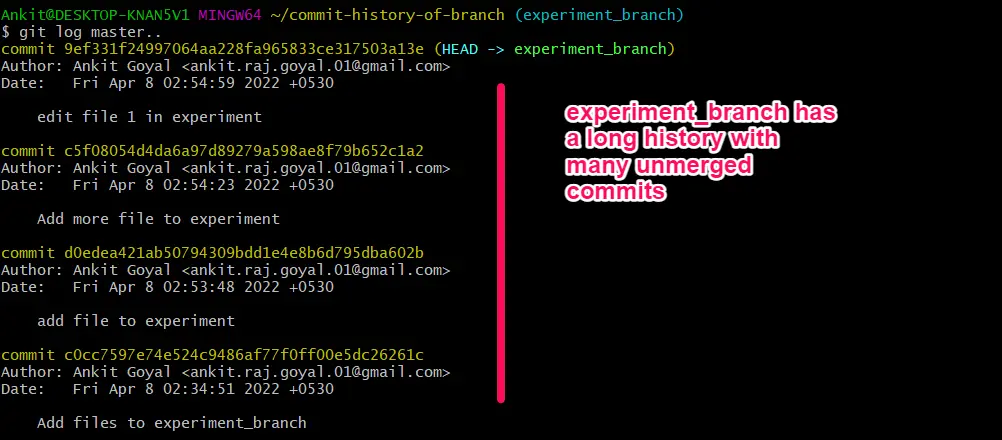 experimentar una larga historia muchas commits no fusionadas