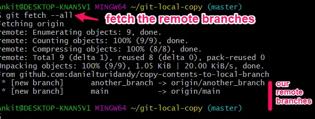 Fetch Remote Branches