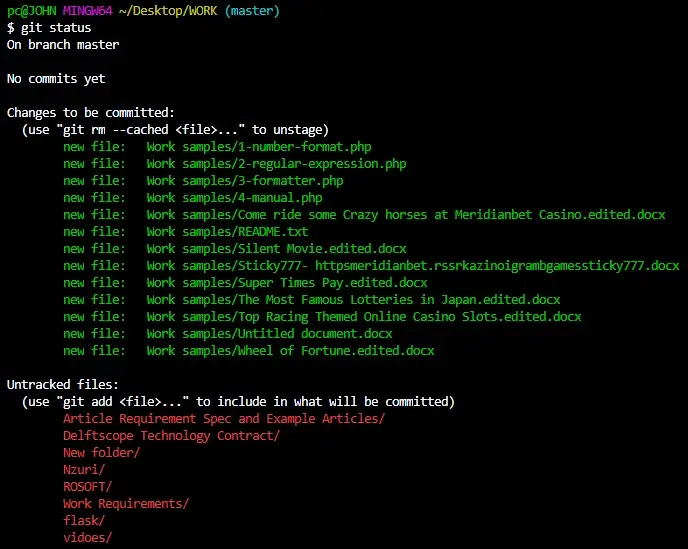 Git Add Folder to Commit - Git Status Output 1