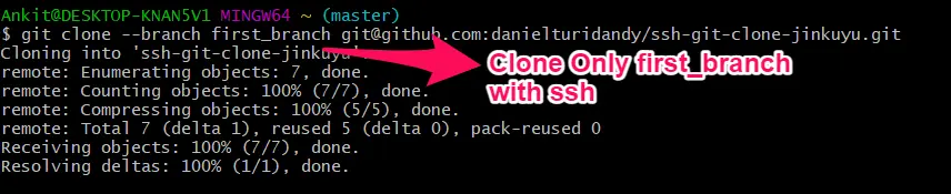 branche spécifique de git clone