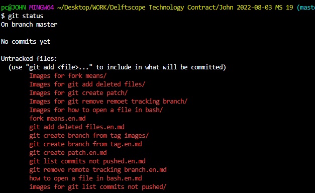 Make a Folder a Git Repo and Push to Remote | Delft Stack