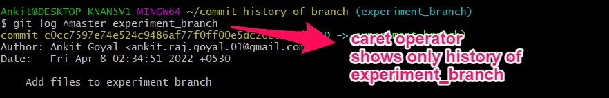 Commit-Verlauf für Branch Caret anzeigen