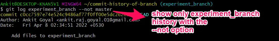 show commit history for branch not option