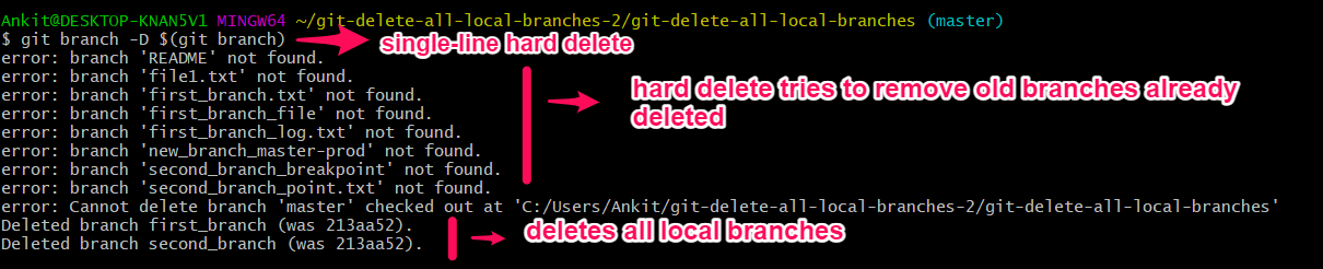 delete-all-local-branches-in-git-delft-stack
