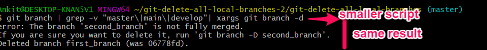 smaller script delete all local