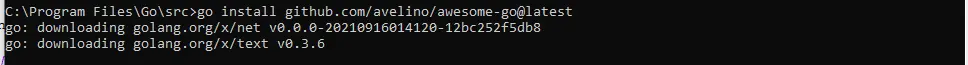 Go Install Command