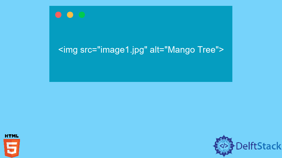 Add Image in HTML From a Folder | Delft Stack