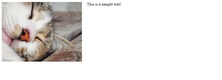 code output - text next to image html flexbox example