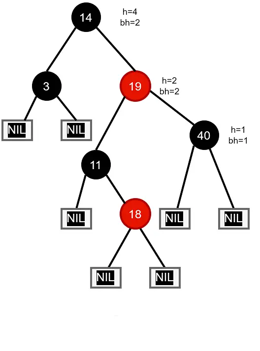 height and black height of red tree