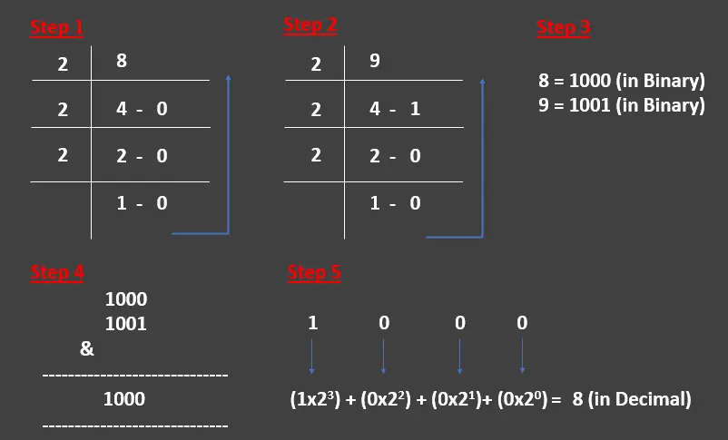 java bitwise operators - and conversion