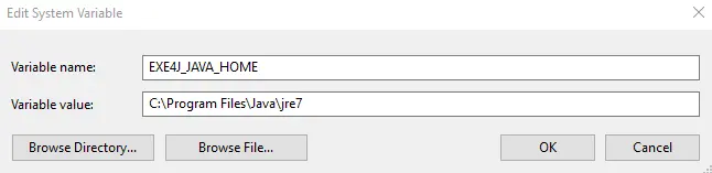 set up environment variable