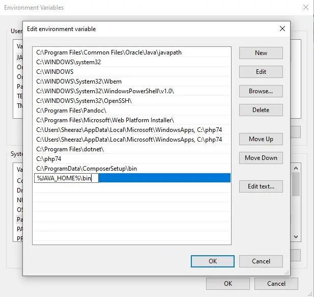 System Path Variable