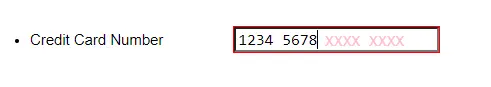 Input Masking for Credit Card Numbers