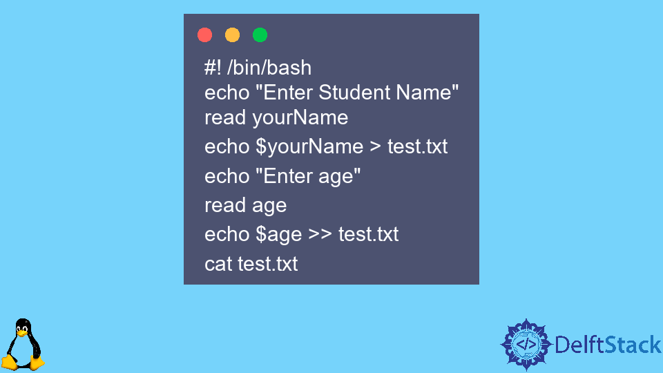 Write to a File in Bash