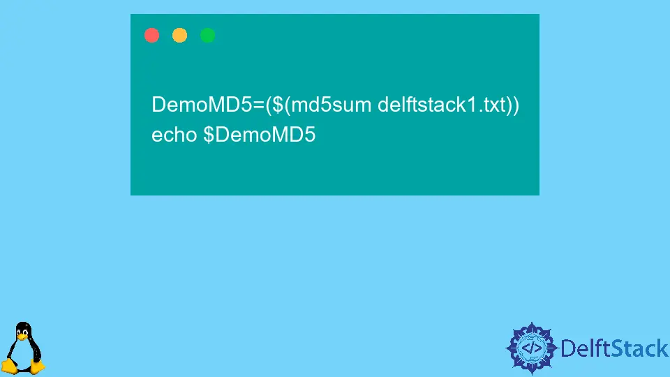 How to Bash md5sum Command