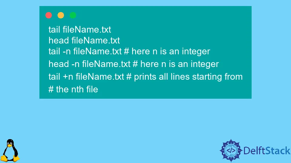 How to Print File After Skipping First X Lines in Bash